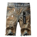 Purple Brand Denim Shorts #5012 | Relaxed Fit | Pre Fall 2024